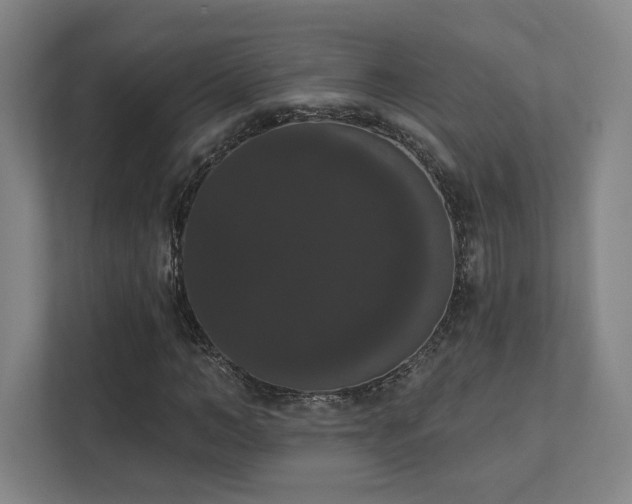 X0000111440966200907201125