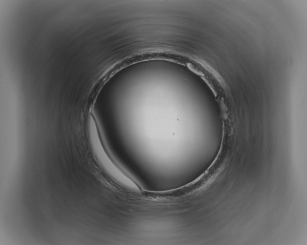 X0000111440969200907201125
