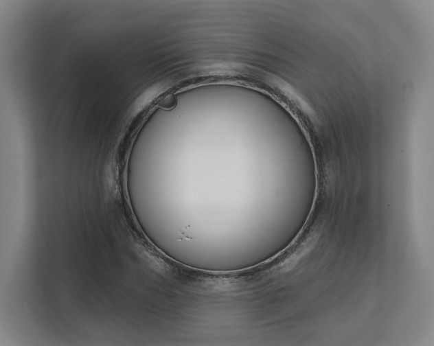 X0000111440970200907201125