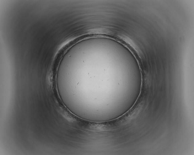 X0000111440971200907201125