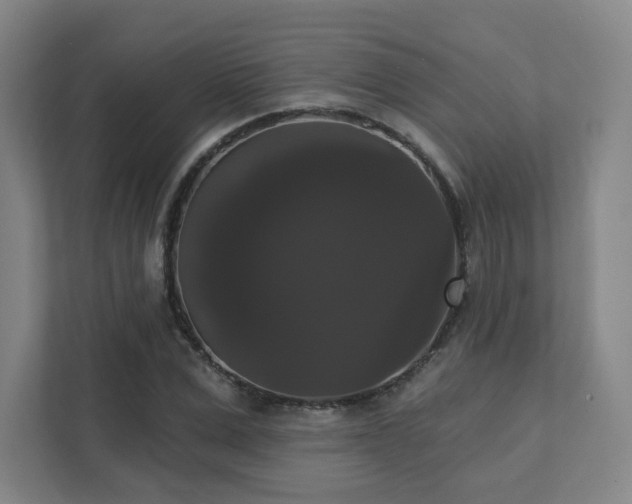 X0000111440975200907201125
