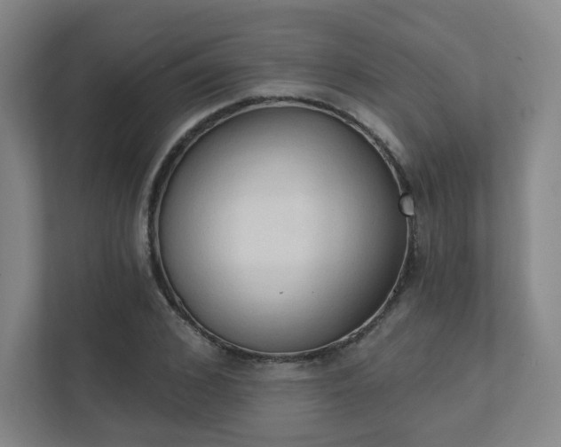 X0000111440976200907201125