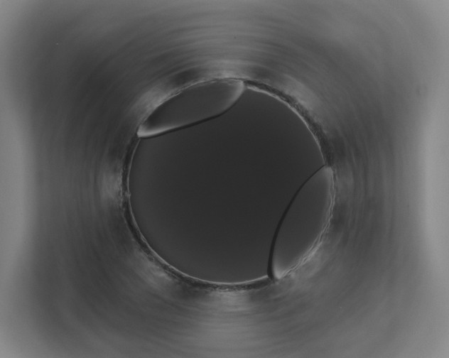X0000111440977200907201125