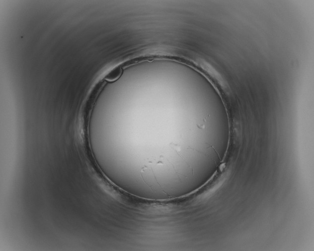 X0000111440981200907201125