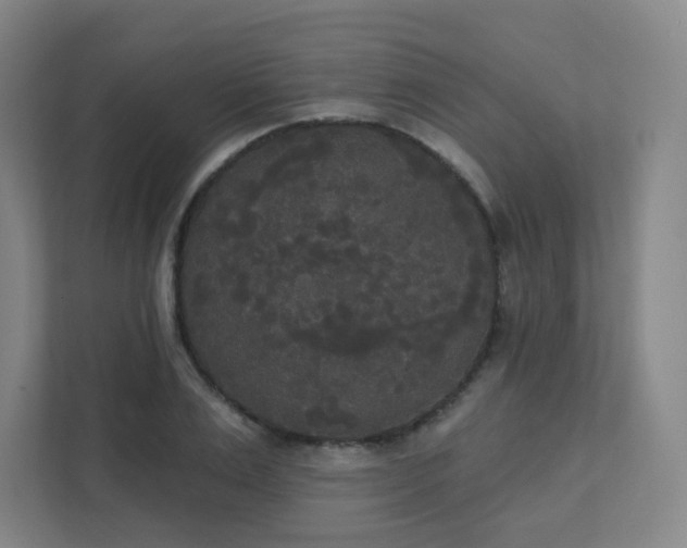 X0000111440983200907201125