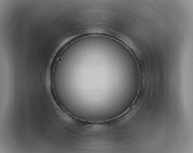 X0000111440984200907201125