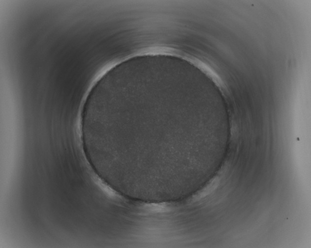 X0000111440990200907201125