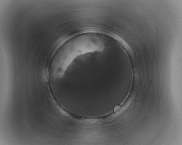 X0000111440993200907201125