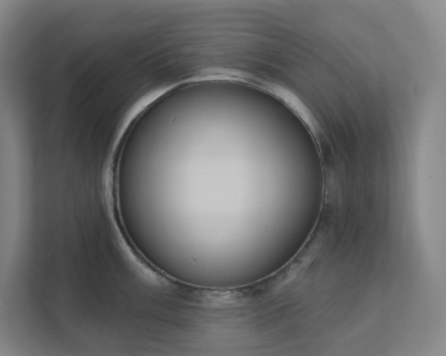 X0000111441003200907201125