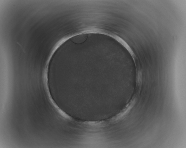 X0000111441005200907201125