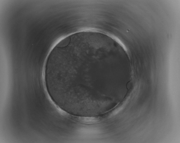 X0000111441007200907201125