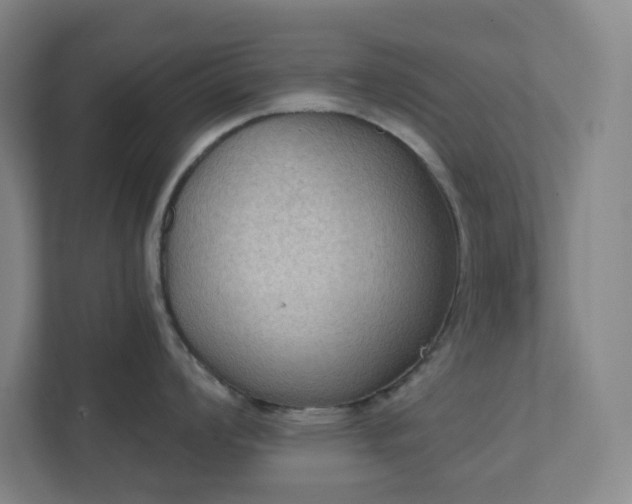 X0000111441008200907201125