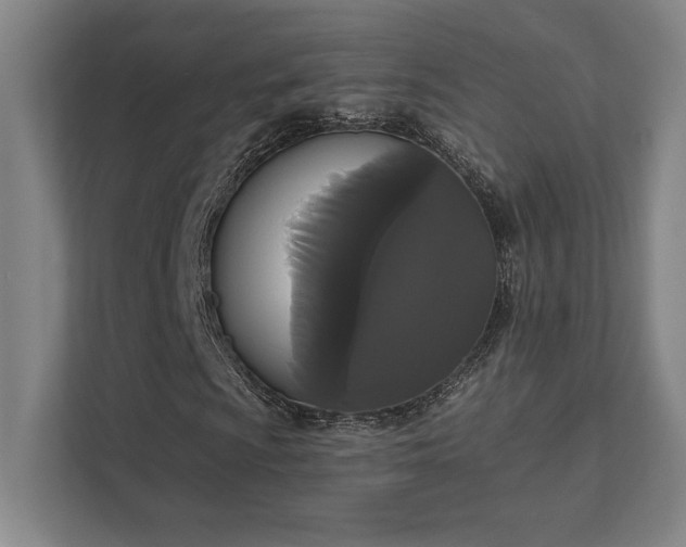 X0000111441009200907201124