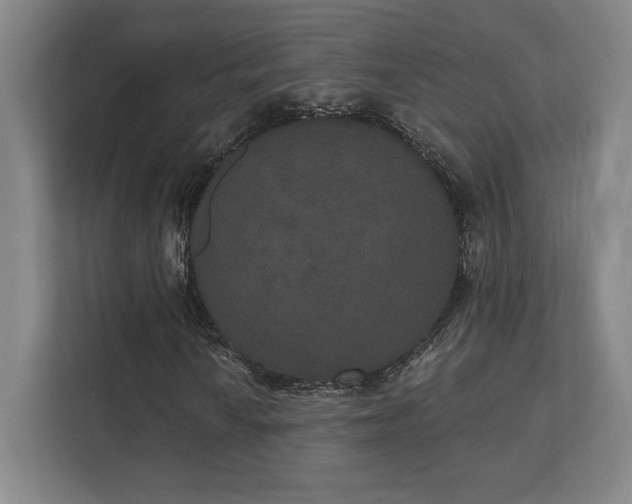 X0000111441010200907201124