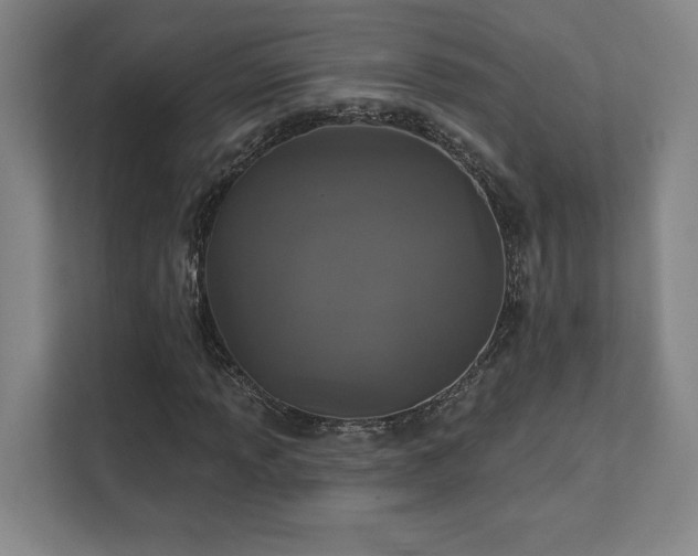 X0000111441013200907201124