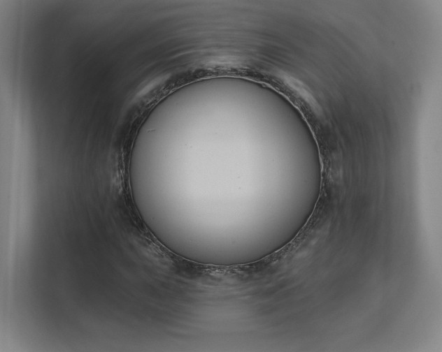 X0000111441015200907201124