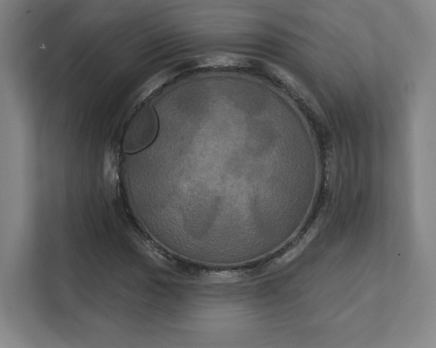 X0000111441017200907201124