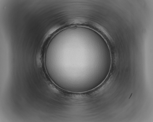 X0000111441018200907201124