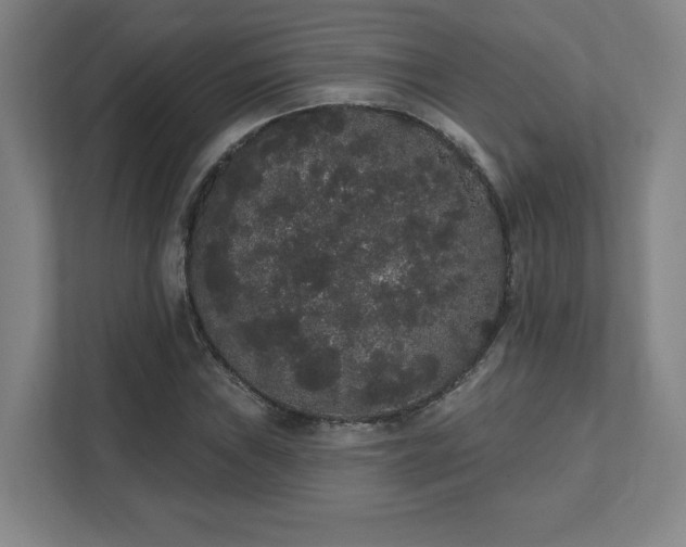 X0000111441019200907201124