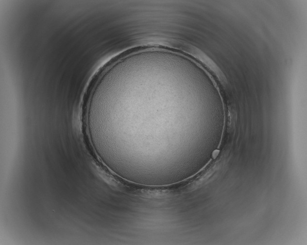 X0000111441020200907201124