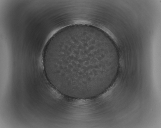 X0000111441022200907201124
