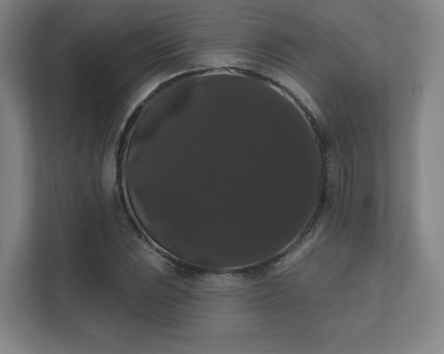 X0000111441023200907201124