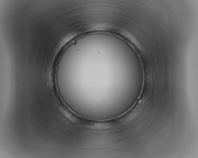 X0000111441026200907201124