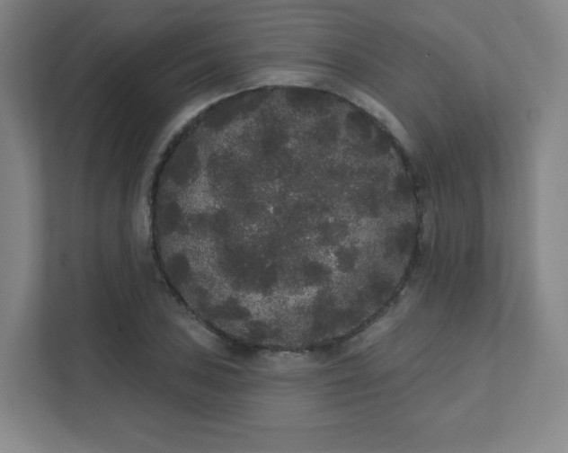 X0000111441027200907201124