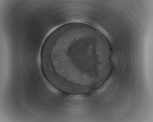 X0000111441028200907201124