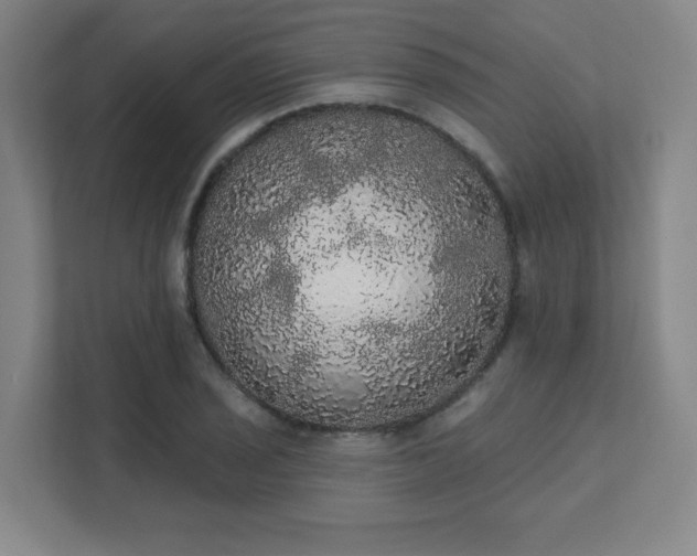 X0000111441029200907201124