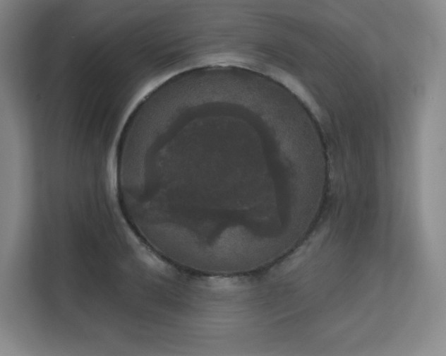 X0000111441032200907201124