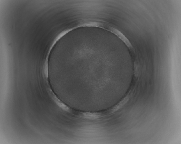 X0000111441036200907201124