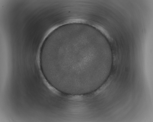 X0000111441038200907201124