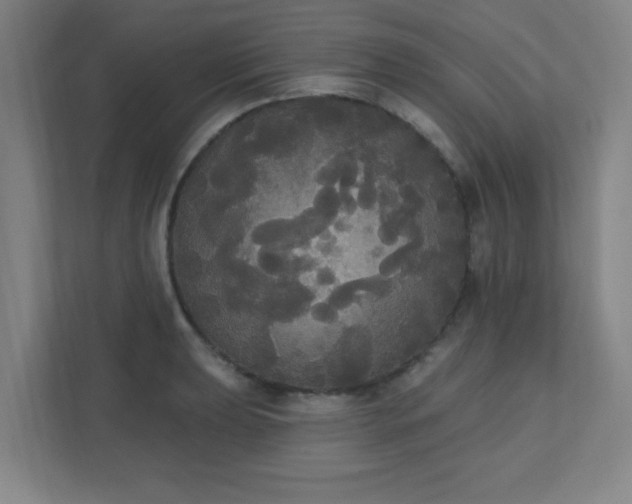 X0000111441039200907201124