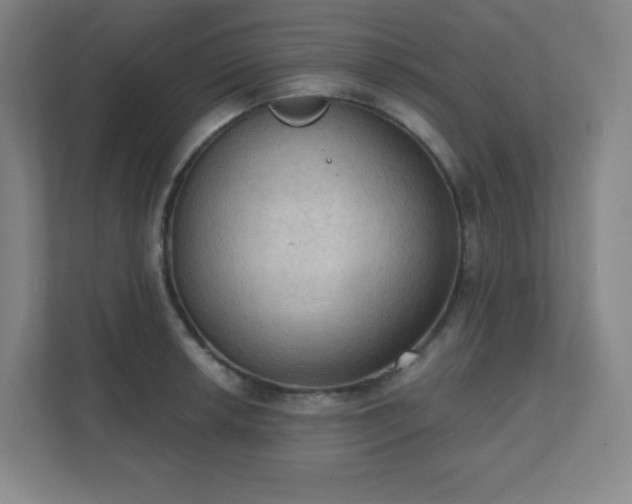 X0000111441042200907201124