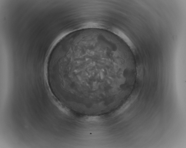 X0000111441043200907201124