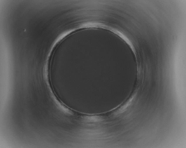 X0000111441045200907201124