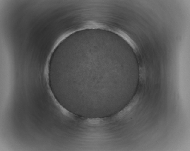 X0000111441046200907201124