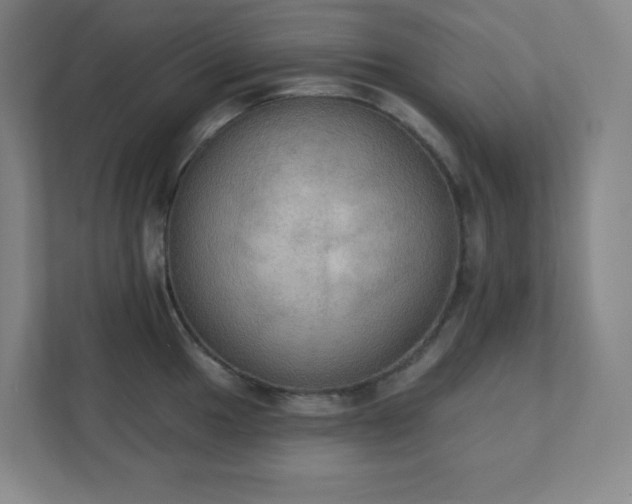 X0000111441049200907201125