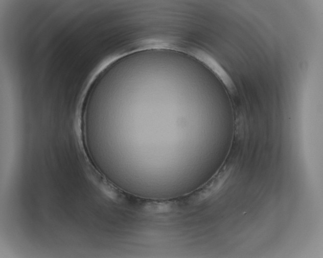 X0000111441051200907201125