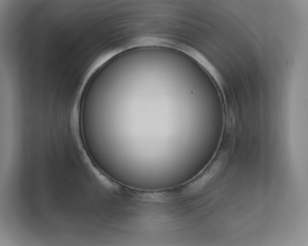 X0000111441053200907201125