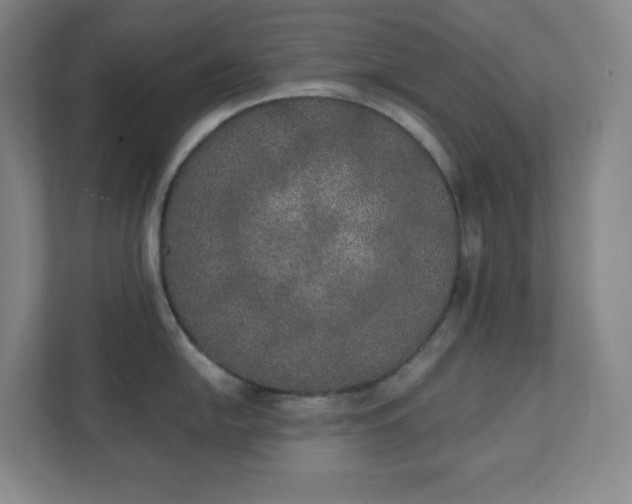 X0000111441054200907201125