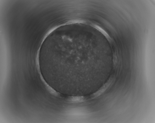 X0000111441055200907201125
