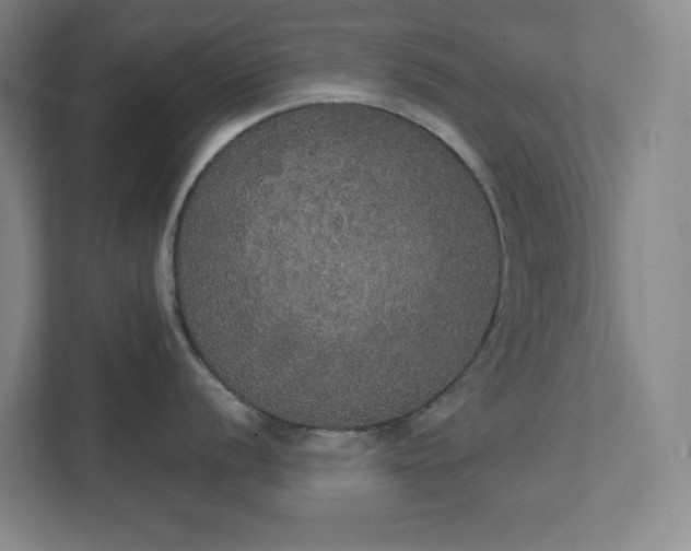 X0000111441056200907201125