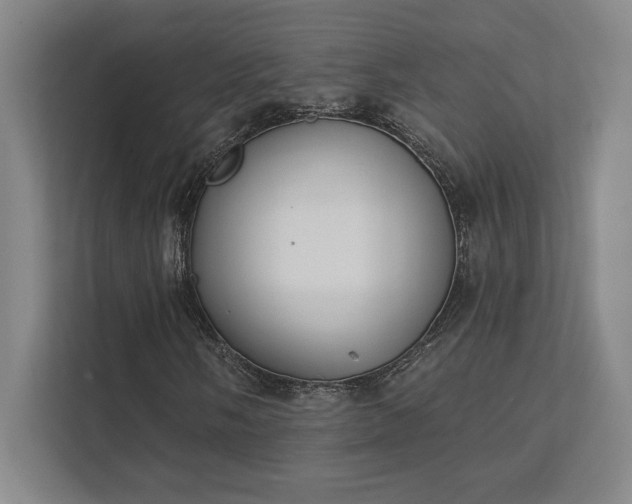 X0000111441058200907201124
