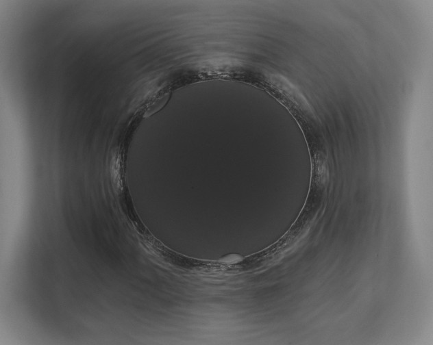 X0000111441060200907201124