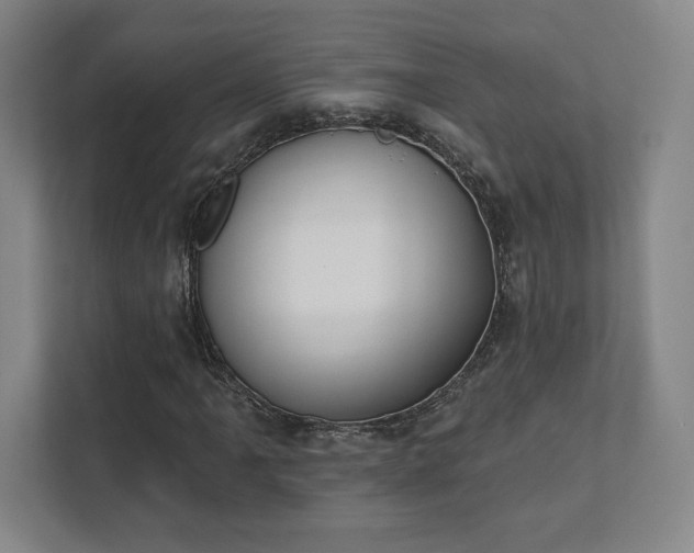 X0000111441061200907201124