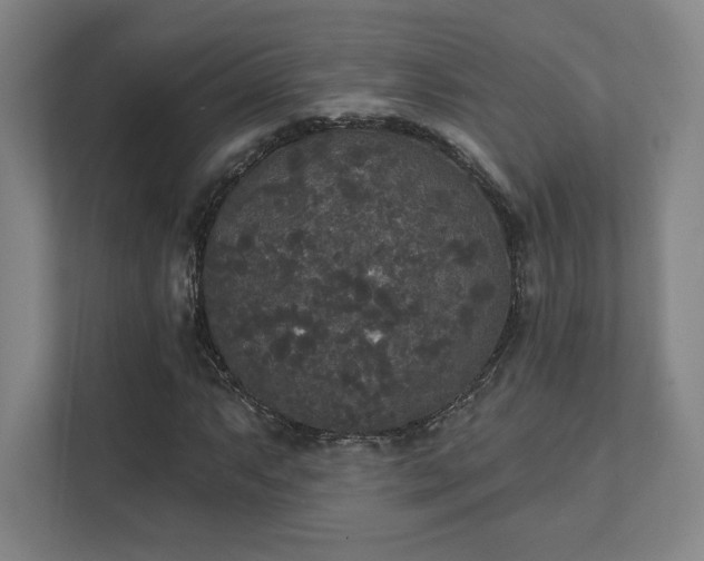 X0000111441063200907201124