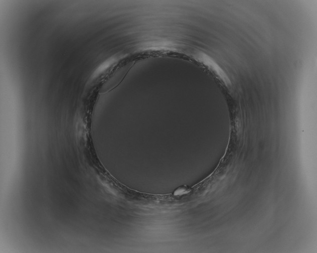 X0000111441064200907201124