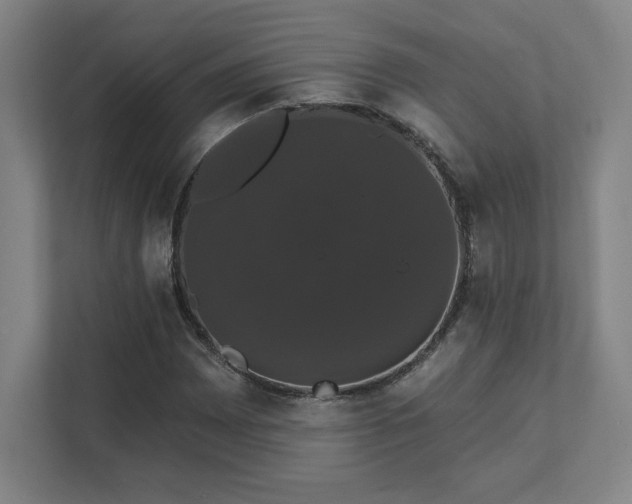 X0000111441065200907201124